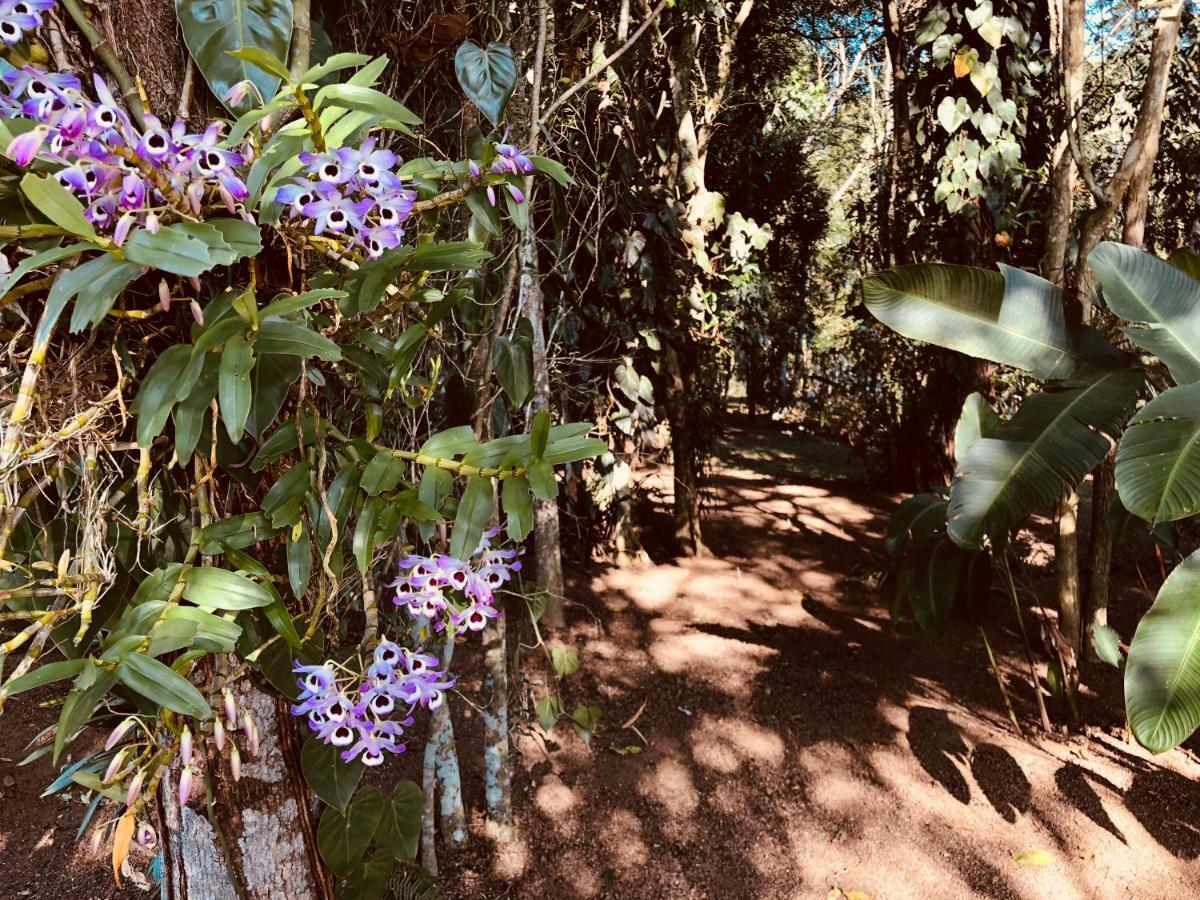 Chacara Quinta Dos Esquilos Villa Cotia  Eksteriør bilde